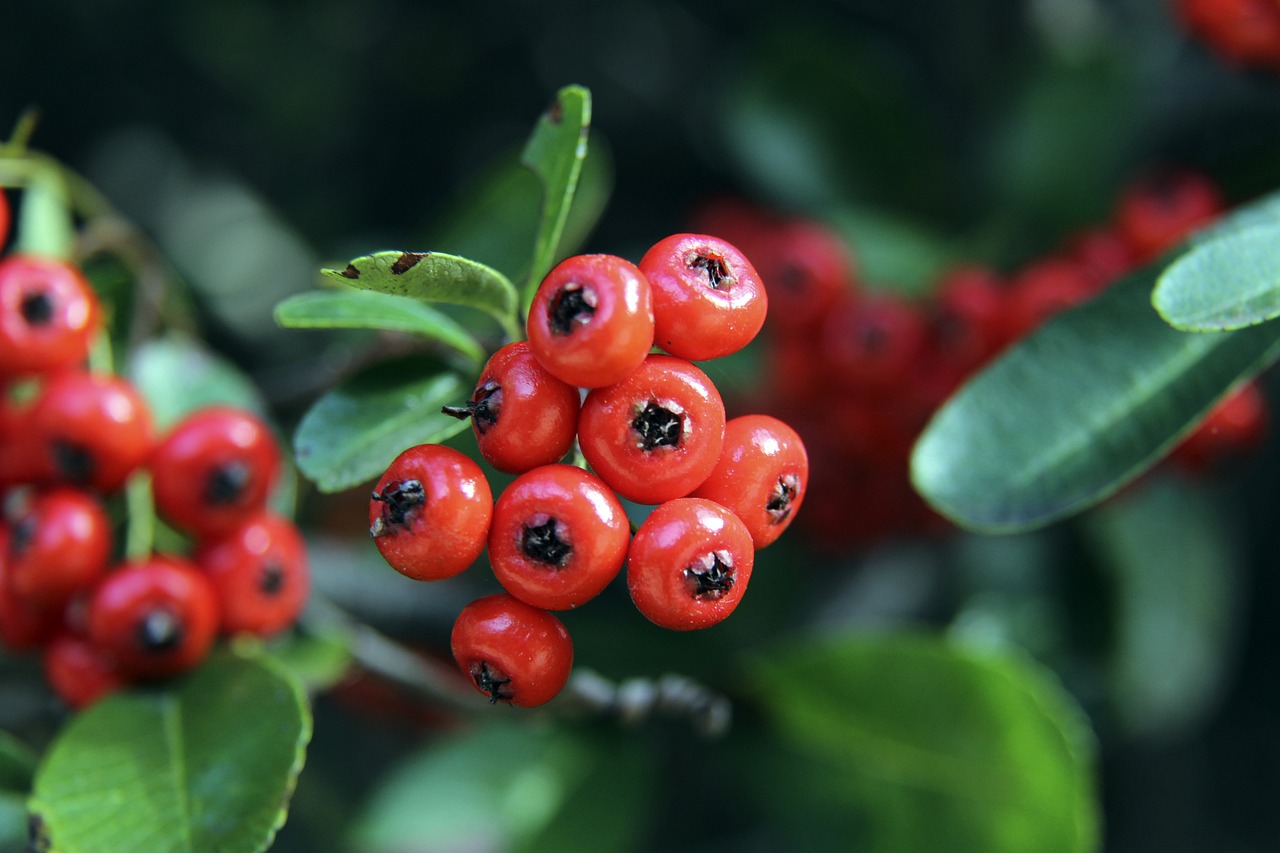 间的壁垒 间的壁垒