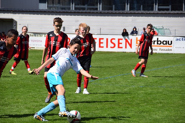 主要体现在 主要体现在