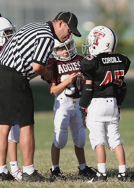 而是体系的 而是体系的