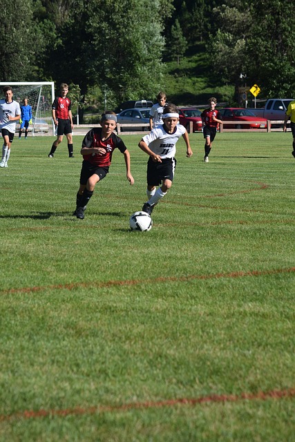 至教练领域 至教练领域